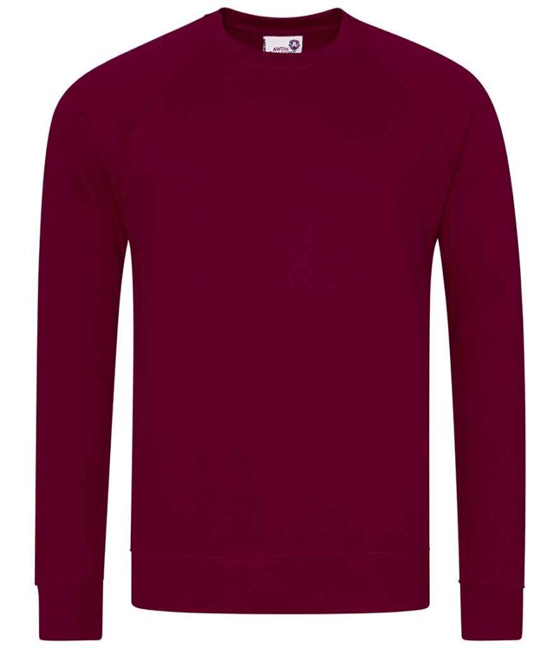 AWDis Academy Raglan Sweatshirt - Image 29